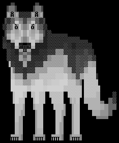 Wolf: 